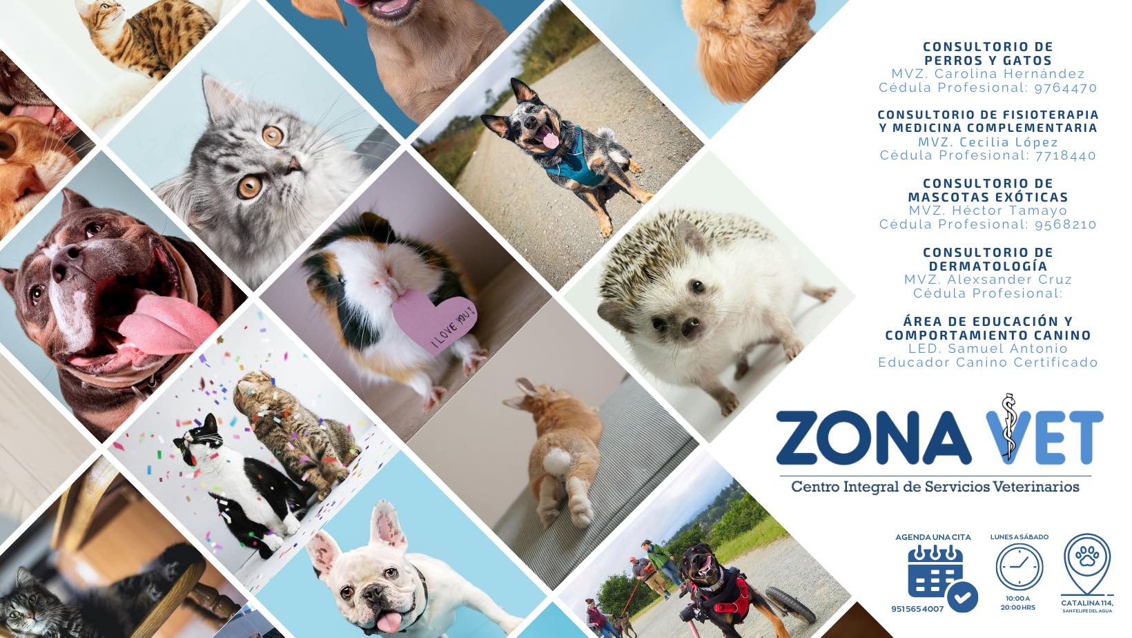 Zona Vet banner