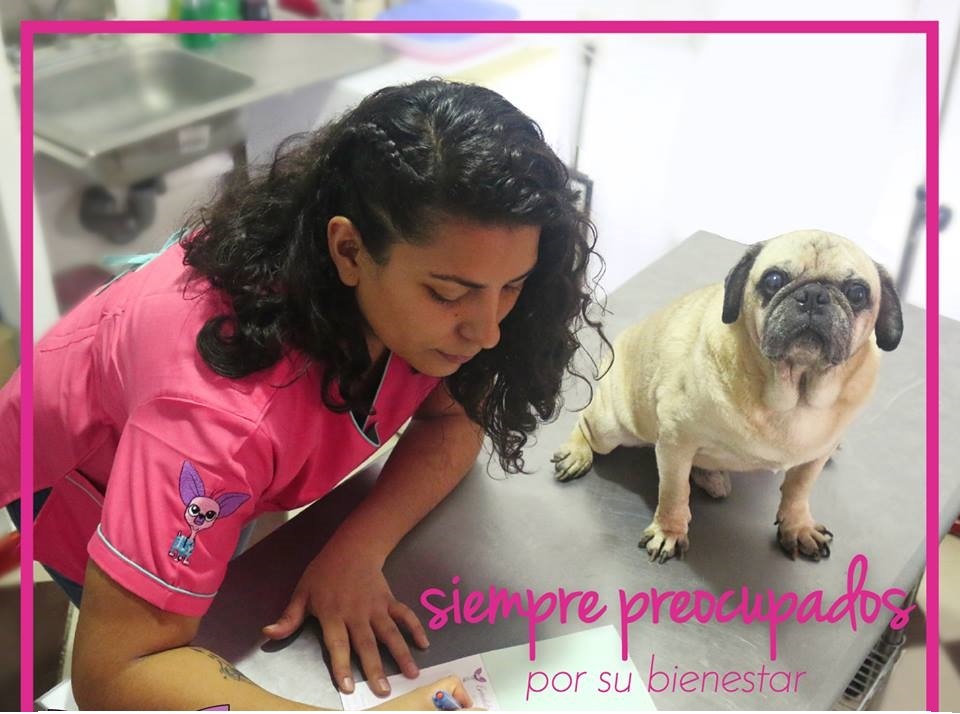 Banner lateral de Zona Vet